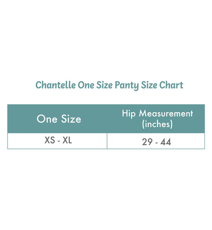 Chantelle Women's Soft Stretch Brief, ,